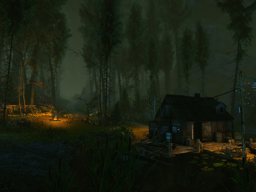 30 La maldición se extiende por el bosque en The Cursed Forest