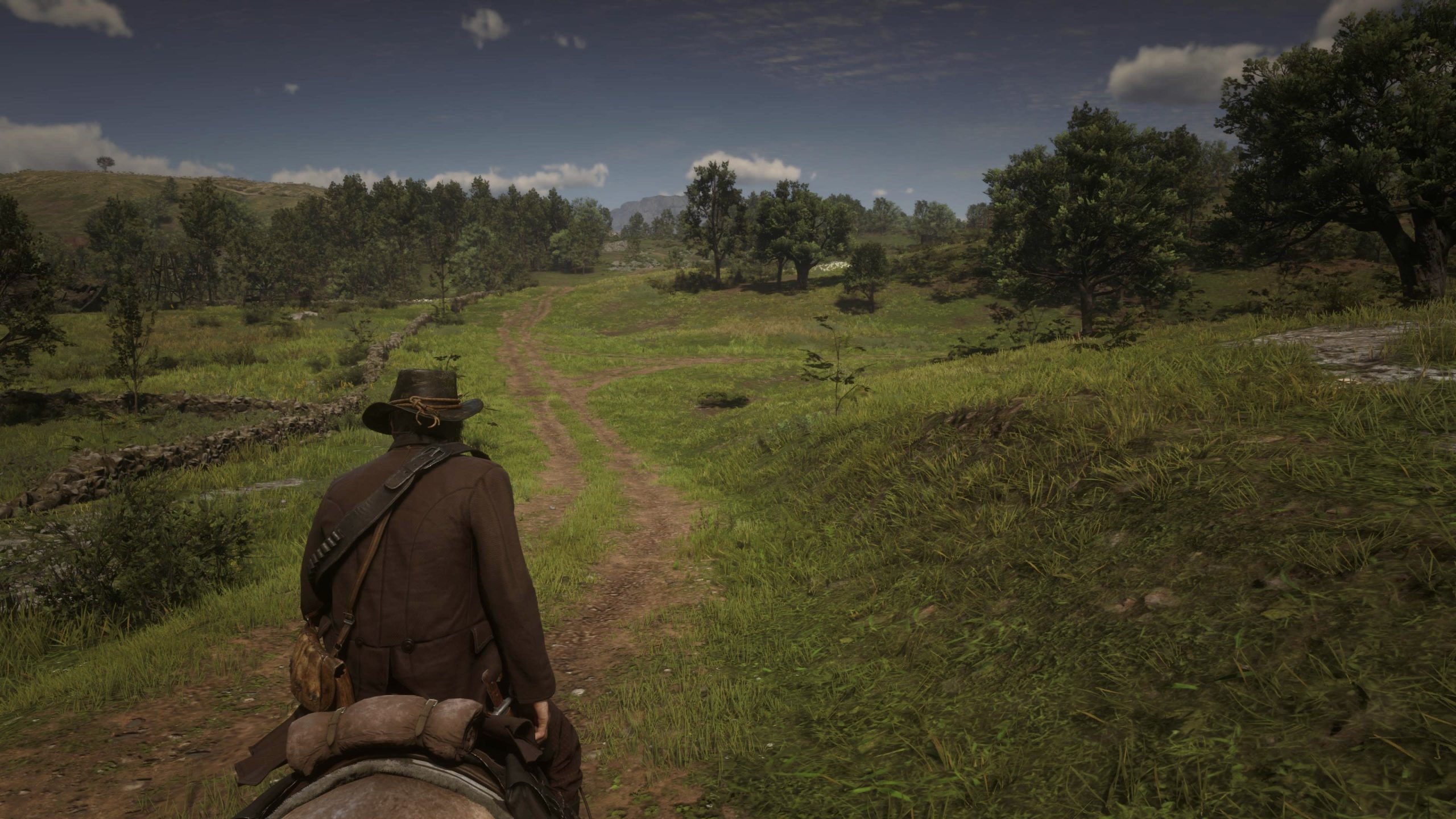 Red Dead Redemption 2 ps5