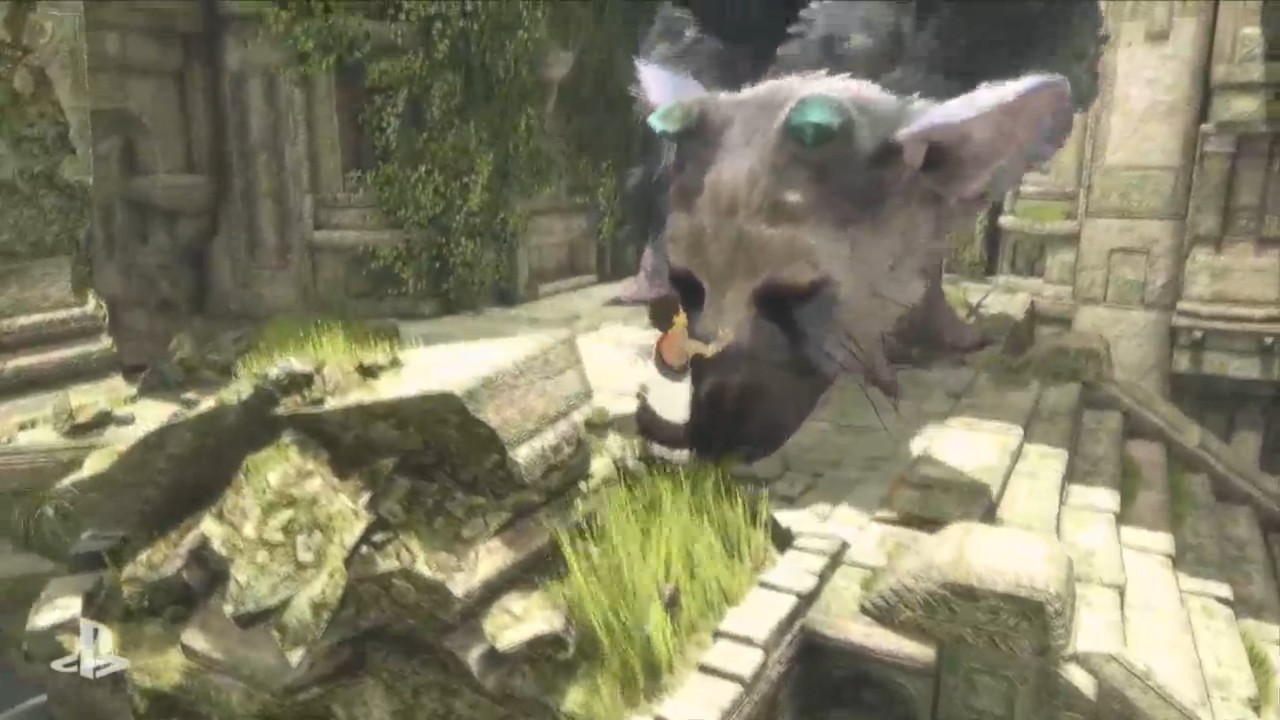 the last guardian