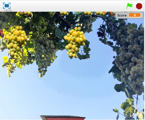 Vins Recoge las uvas en el videojuego del vino