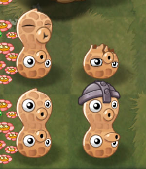 Cuenta atrás para saber más del quinto mundo de Plants Vs Zombies 2 6 cacahuete pvz 2